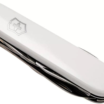 8694006